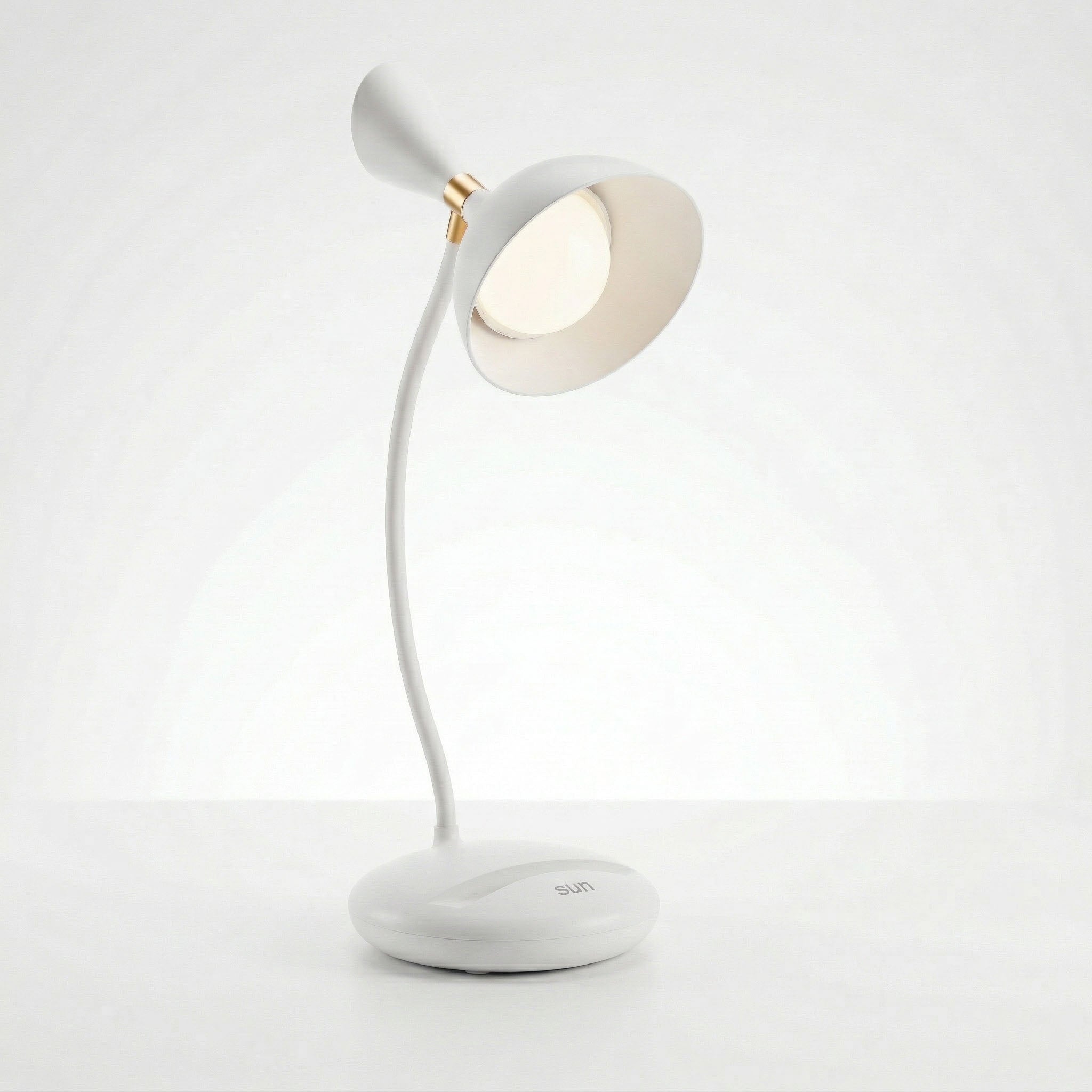 Modern Study Lamp