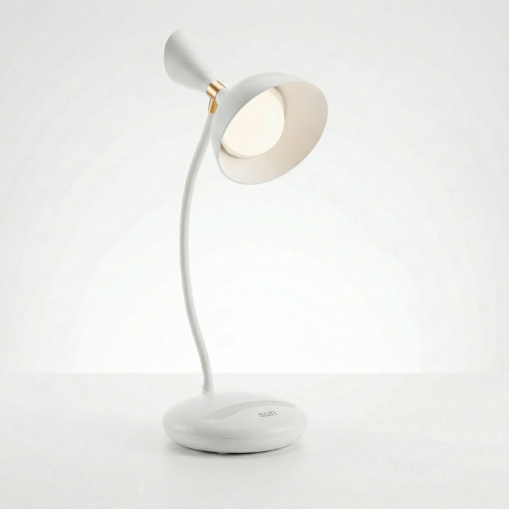 Modern Study Lamp